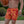 Swim Trunks - Tropical Inferno