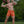 Swim Trunks - Tropical Inferno