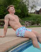 Swim Shorts-Swim Trunks - Flamingo Team Six - Savage Tacticians