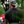 SavTac Camper Hat