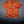 Tropical Inferno Button-up